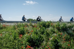 Die Bundesstraße gehörte am 16.6.2019 zwischen Ziethener Kreuz und Klein Ziethen für kurze Zeit den RadfahrerInnen - zumindest eine Spur der Schnellstraße. <br/><p style="font-size:10px">© Arno Declair</p>